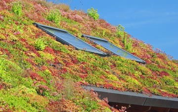 Northborough living roof systems