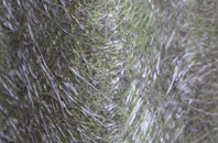 Northborough fibreglass roof work